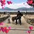 Vasin Suntayodom's profile image