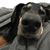 Scott Jacquemin's profile image
