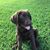 Kathleen Thompson White's profile image