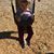 Lindsey Kerr's profile image