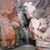 Amber Kirkham's profile image