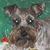 Donna Smith's profile image