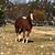Janna Kimmons's profile image