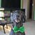Kathee Rowe Killion's profile image