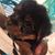 Candilyn J Cunningham's profile image