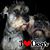 Brenda Runyon's profile image