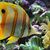 Marilyn Hodgson's profile image