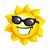 Carla Heune's profile image