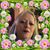 Kathy Johnson Bottka's profile image