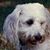 Janet Stancliff's profile image