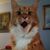 Joann Taylor-Hamlin's profile image