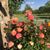 Vickie B Jones's profile image