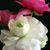 Mirna Jimenez's profile image