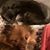 Kathleen Sparr's profile image