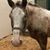 Pinkey Pinecraft's profile image