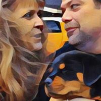 Sara Bird's profile image