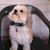Kathy Hand Davis's profile image