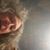 Rene Schlangen's profile image