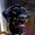 Jeanne Larsen's profile image