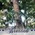Merna Simpson-Rose's profile image