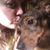 April Beatty's profile image