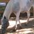 Brenda Blakely Glastetter's profile image