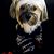 Gatsby Newport's profile image