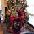 Donna Amick Singletary's profile image