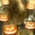 Tania Torres's profile image