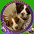 Jackie Adrian's profile image