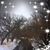 Debbie Lindroth's profile image