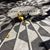 Debra Bova's profile image
