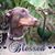 Karen Farrell's profile image
