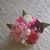 Lanette West-Johnson's profile image