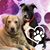 Manda Noble's profile image