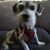 Joanne Tanimoto's profile image