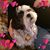 Stanley Blouch's profile image