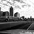 Amy Erber's profile image
