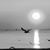 Sandra J. Bailey's profile image