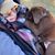 Kaisha McGreal's profile image