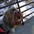 Sanoa Thomas's profile image