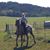 Laura Ranney's profile image