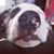 Jennifer Mahar's profile image