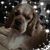 Donna Robbins's profile image