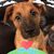 Stacy Gygi's profile image