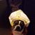 Margene Hein's profile image