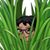 Kelly Thacher's profile image