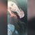 Miranda Leonard's profile image
