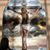 Marcy VanderArk's profile image