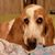 Ava Byars Watkins's profile image